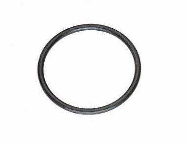 O-Ring (Dichtring) P150,EX100